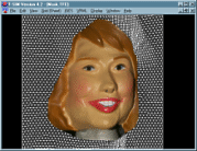 Image pre-distortion using 3D VRML model